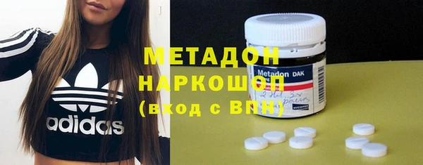 шишки Медвежьегорск