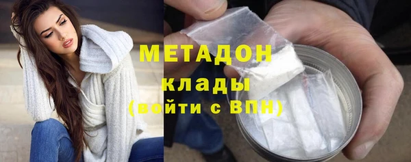 шишки Медвежьегорск