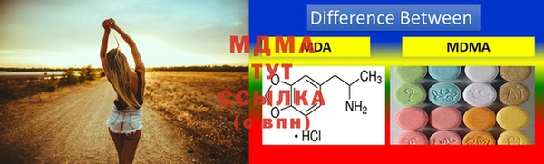 шишки Медвежьегорск