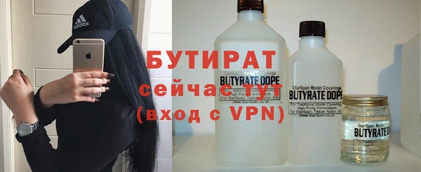 шишки Медвежьегорск