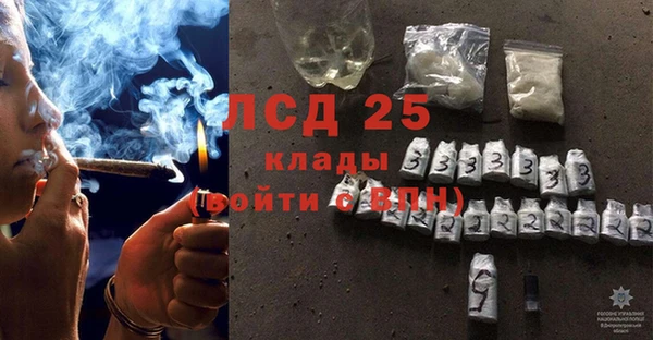 шишки Медвежьегорск