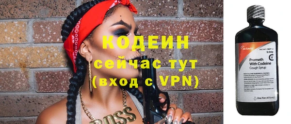 шишки Медвежьегорск