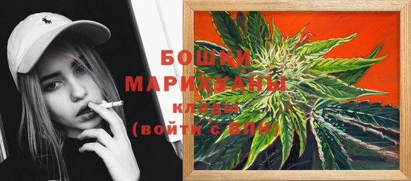 шишки Медвежьегорск