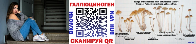 Псилоцибиновые грибы Psilocybine cubensis  Купить закладки  Дубовка 
